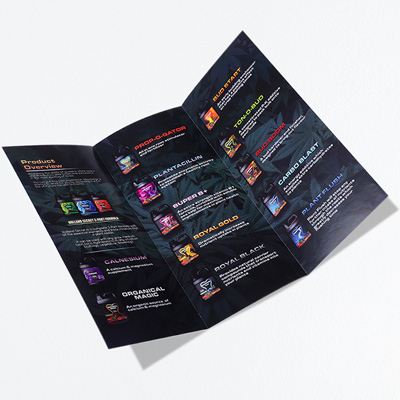 Brochure Printing