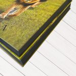 Gilding Edges Book Printing