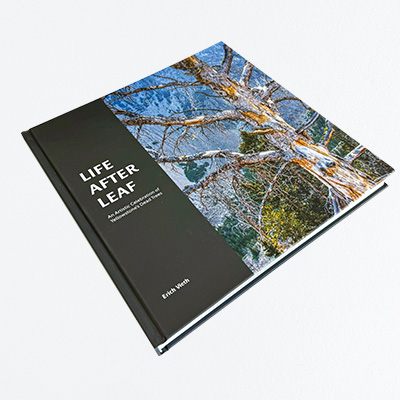 Large Format Book Printing